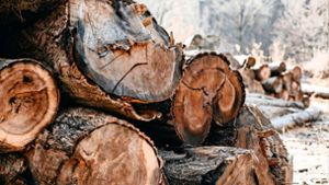 Nachfrage nach Holz nimmt wieder zu