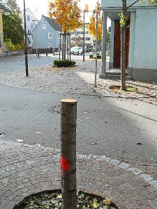 Nicht mehr viel ist von dieser Vogel-Kirsche in der Balinger Schwanenstraße übrig geblieben.  Foto: Hauser Foto: Schwarzwälder-Bote