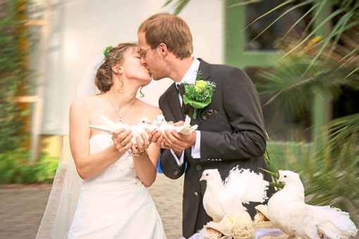 Viele Brautpaare lassen sie am schönsten Tag ihres Lebens fliegen: weiße Hochzeitstauben. In Villingen-Schwenningen soll dieser Brauch nun verboten werden. Foto: Pixabay