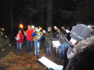 Weihnachtliche Klänge beim Albverein Foto: Pfister Foto: Schwarzwälder Bote