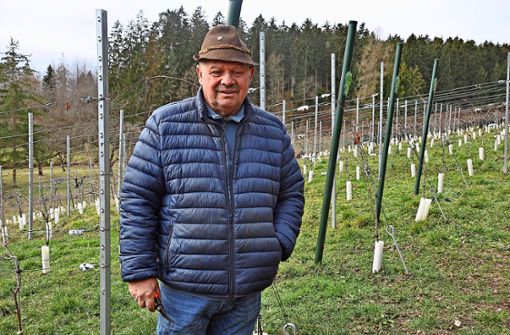 Verzweifelt: Hans Leopold hat mehr als 600 Weinstöcke verloren. Foto: Dick