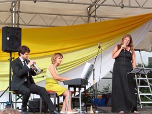 Die Musiker traten im Wildberger Klosterhof auf die Bühne. Foto: Kosowska-Németh Foto: Schwarzwälder-Bote