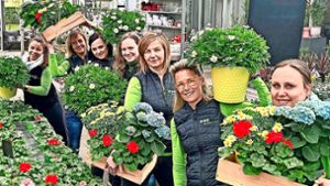 Bei Blumen Krigar in Albstadt-Ebingen erfahren Kunden, wie die Blütenpracht erhalten bleibt