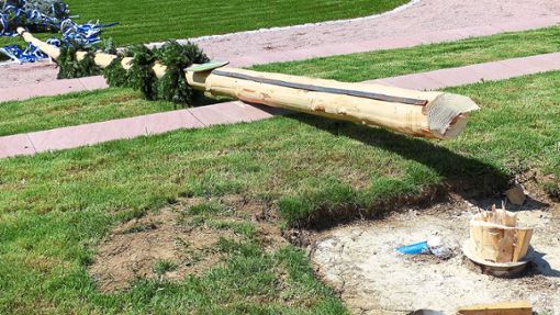 Der Maibaum liegt am Boden. Er kann nicht mehr aufgestellt werden, weil er auch in der Mitte gebrochen ist. Foto: Vollmer