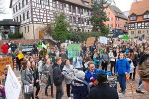 Zuletzt haben die Schüler in Schwenningen demonstriert. Am Freitag ist wieder Villingen Demo-Schauplatz. Foto: Riesterer