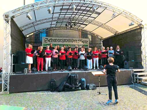 Der Gesangverein Frohsinn Oberndorf bringt am Sonntag, 21. Juli, stimmungsvolle Titel zu Gehör. Foto: Rückert Foto: Schwarzwälder Bote