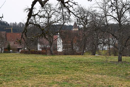 Weiter voran geht es mit dem Bebauungsplan Wettegärten inmitten der Gemeinde Weilen unter den Rinnen. Foto: Visel Foto: Schwarzwälder Bote