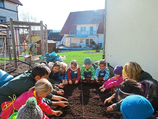 Die Kinder des katholischen Kindergartens Arche Noah haben ein Beet angepflanzt. Foto: Privat Foto: Schwarzwälder-Bote
