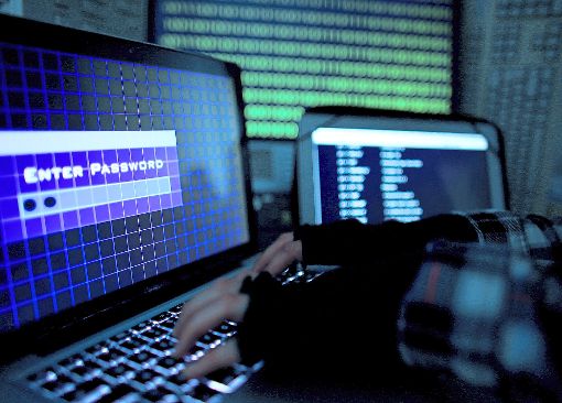 Hacker versuchen immer wieder in fremde Computersysteme einzudringen. In Calw ist man darauf vorbereitet. Foto: Berg Foto: Schwarzwälder-Bote