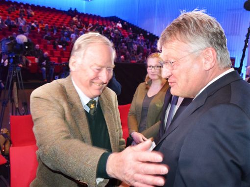 Alexander Gauland (links) und Jörg Meuthen  beim Europa-Wahlkampf-Start in Offenburg. Foto: Braun