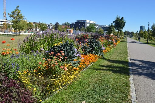 Nicht zuletzt durch die farbenfrohen Blumenbeete hat das LGS-Gelände einen Wohlcharakter. Doch auch andere Faktoren dominieren die Grünfläche im Stadtbezirk. Foto: Bloss