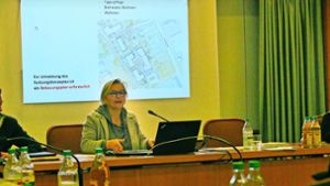 Gabriele Kauß-Brockmann von der STEG informiert in Vöhringen zum Bebauungsplan „Nördlicher Ortskern“. Foto: Stöhr