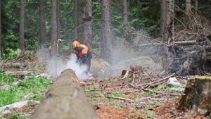 Waldarbeiter von rutschendem Stamm erfasst