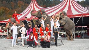 Zirkus-Gastspiele: Peta beharrt auf Wildtier-Verbot in VS