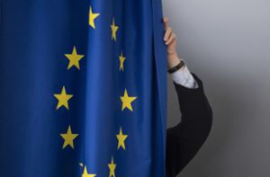 Bei der Europawahl werden die Mitglieder des Europäischen Parlamentes bestimmt.  Foto: dpa