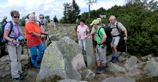 Unterwegs in den Vogesen waren Wanderer des Schwarzwaldvereins. Foto: Schwarzwaldverein Foto: Schwarzwälder Bote