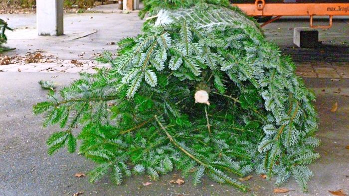 Dieb sägt Weihnachtsbaum-Spitze in Thanheim ab