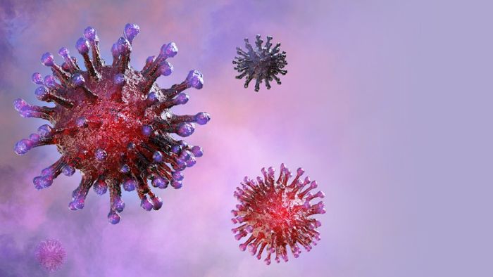 Weitere Coronavirus-Tote gemeldet