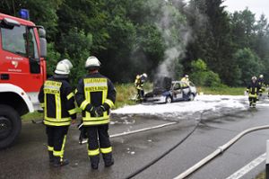 Ein technischer Defekt hat vermutlich den Fahrzeugbrand verursacht, dem dieser Wagen zum Opfer fiel. Foto: Schulz