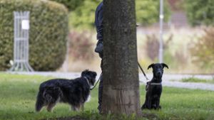 Polizei gibt Entwarnung für Tierhalter