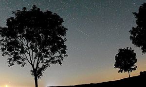 Der Meteorschwarm der Perseiden war in der Nacht zu Sonntag bei klarem Himmel gut zu sehen. Foto: Berg