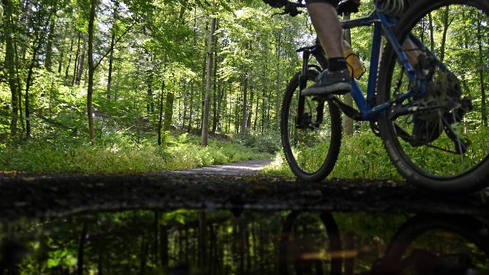 Wanderer finden in Baden-Baden Radfahrer tot im Gebüsch 