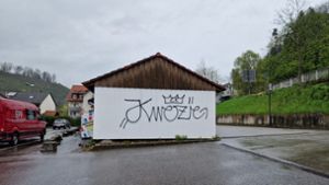 Wer kennt den Graffiti-Sprayer? 1000 Euro für Hinweise