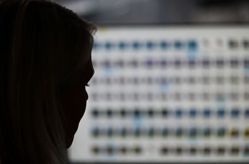 Das Symbolfoto zeigt eine Ermittlerin, die vor einem Monitor mit Fotodateien sitzt. Foto: Arne Dedert/dpa/Arne Dedert