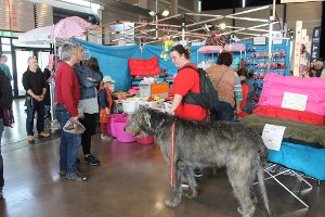 Großes Interesse: Zahlreiche Besucher informieren sich im Beisein ihrer Vierbeiner bei der Messe Mein Hund.    Foto: Müller