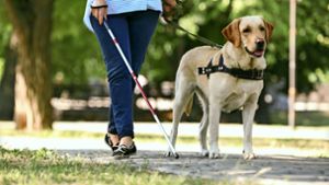 Krankenkasse verweigert Kostenübernahme für Blindenführhund