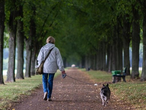 Hans-Jürgen Schneider empfiehlt Hundebesitzern, in der jetzigen Jahreszeit ihre Tiere anzuleinen und besonders gut aufzupassen. (Symbolfoto) Foto: dpa