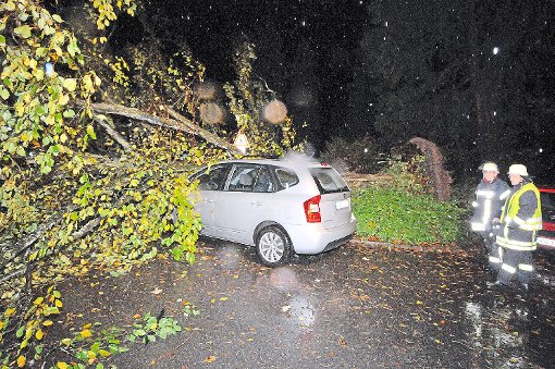 Den folgenschwersten Sturmschaden gab es im Schramberger Stadtpark. Dort kippte eine Buche auf ein geparktes Auto.  Foto: Wegner
