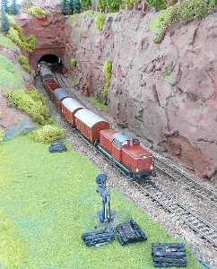 Original oder Modell? Güterzug auf Bergfahrt beim Hirsauer Tunnel.  Foto: Schneider Foto: Schwarzwälder-Bote