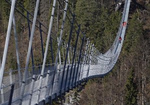 Ähnlich wie auf diesem Bild wird wohl auch die Hängebrücke in Bad Wildbad aussehen. (Symbolfoto) Foto: Schneider