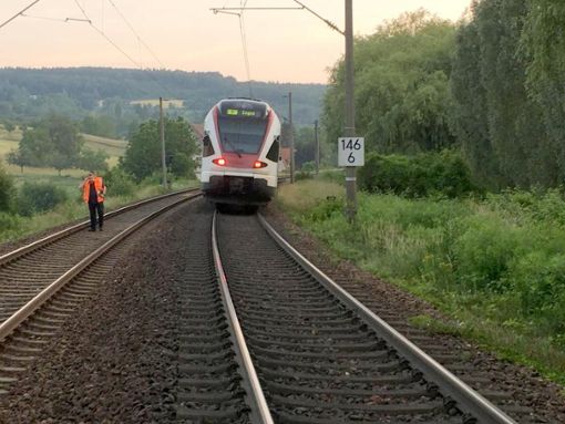 Eine Regionalbahn steht auf einem Gleis auf der Strecke zwischen Singen und Engen.  Foto: Bundespolizeiinspektion Konstanz/dpa