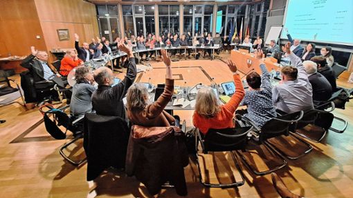 Am Ende stimmten alle zu: Der Nagolder Gemeinderat segnete den Haushalt 2024 geschlossen ab. Foto: Sebastian Bernklau