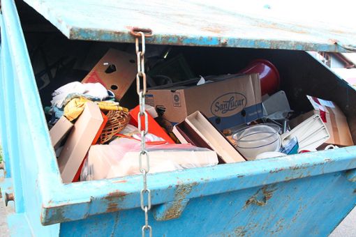 Was im Kreis in den Mülltonnen und Containern landet, legte das Landratsamt im Kreistagsausschuss dar. Foto: Rath