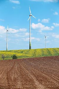 Mit der Energiewende sind in Deutschland viele Windräder entstanden. In Schömberg gibt es deshalb ständig Zoff. Foto: Archiv Foto: Schwarzwälder-Bote