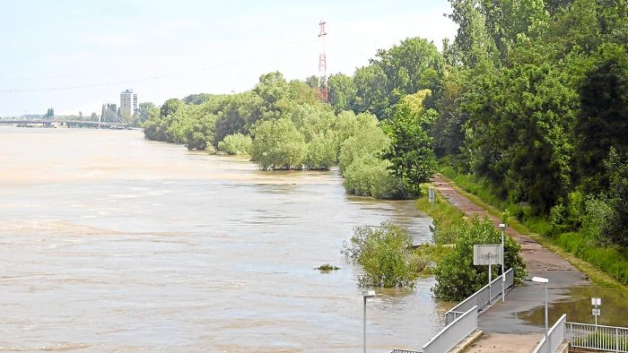 Rhein-Hochwasser am Kulturwehr
