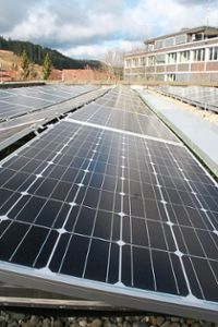 Besitzer von Furtwanger Fotovoltaikanlagen haben im Juli wieder eine reiche Stromernte eingefahren.   Foto: Liebau Foto: Schwarzwälder Bote