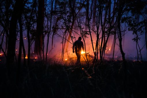Bei Hitze und anhaltender Trockenheit steigt die Gefahr von Wald- und Flächenbränden. (Symbolfoto) Foto: dpa