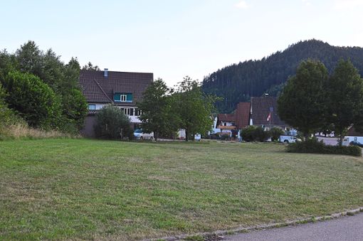 Das Areal des ehemaligen Sägewerks Sackmann wird  vom Mischgebiet in ein Wohngebiet umgewandelt. Foto: Herzog Foto: Schwarzwälder Bote