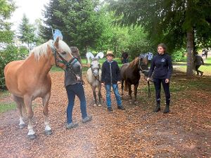 Ein Pony-Geschicklichkeitsparcours stellte eine willkommene Herausforderung für die Besucher des Freundestags dar.  Foto: CGR Foto: Schwarzwälder-Bote