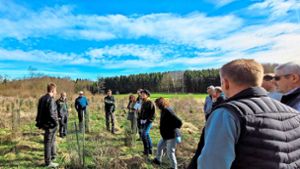 Gemeinderat Oberndorf: Wie übersteht der Wald den Klimawandel?