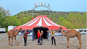 Gäste auf dem Oberndorfer Festplatz: „Wir wollen den Zirkus niemals aufgeben“