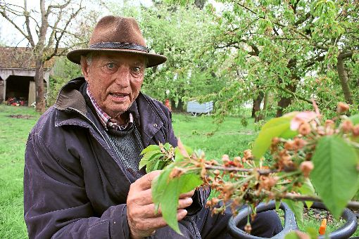 Der frühere Ortsvorsteher  von Eckenweiler, Helmut Däuble, ist im Alter von 78 Jahren verstorben.  Archiv-Foto: Müssigmann Foto: Schwarzwälder-Bote