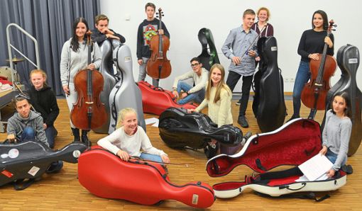 Die zwölf Cellisten der Musikschule Calw werden auch beim Konzert auftreten. Foto: Musikschule Foto: Schwarzwälder Bote