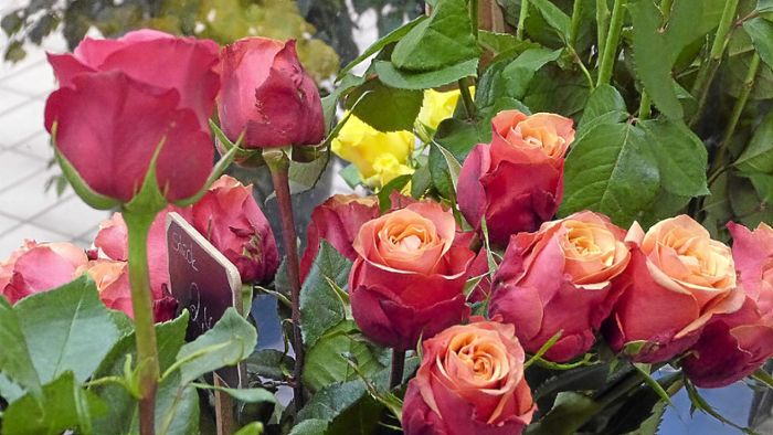 Valentinstag: Vor allem Männer kaufen Blumen