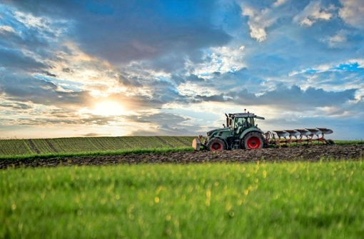 Der verregnete Sommer macht Landwirten zu schaffen. Auch im Kreis Rottweil hinterlassen die Unwetter ihre Spuren. Foto: pixabay/Franz26