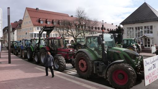 Rund 20 Traktoren standen am Sonntag während der SPD-Veranstaltung  in der Stuttgarter Straße. Foto: Beyer